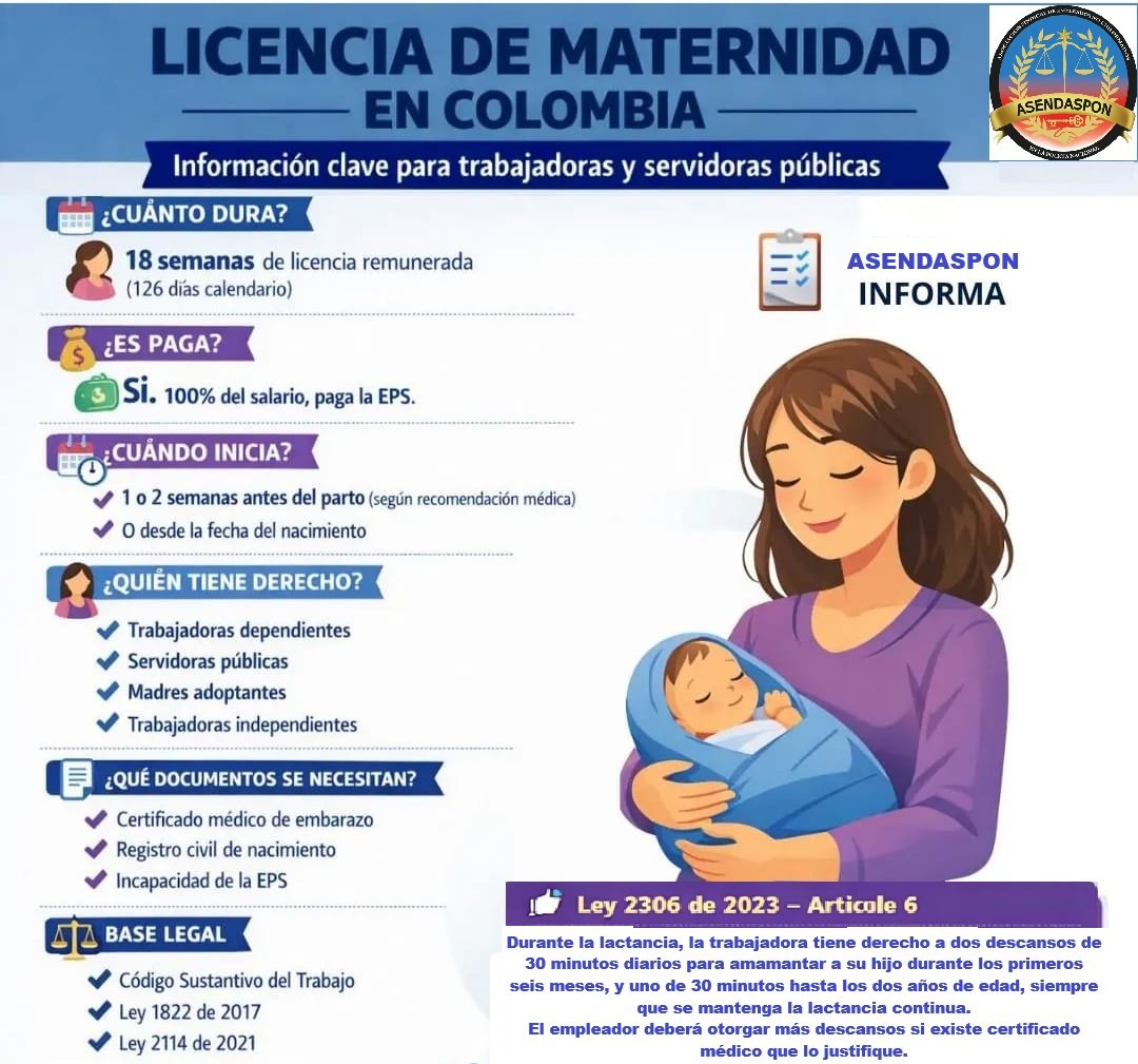 Descripción de la foto 5